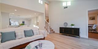 15 Camphor S Gallery 3