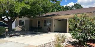 Foothills Gallery 1