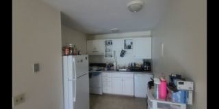 Fantastic Apt near BU and Packards Corner!  $500 rebate with promo.  HW Floors, Dishwasher Gallery 7
