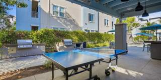 Palomar Station Gallery 31