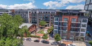 The Griff Gallery 42