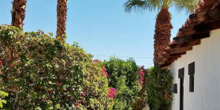 52225 Avenida Obregon Gallery 4