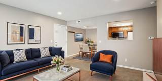 Raintree Apartments Gallery 14