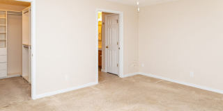 PET FRIENDLY!!!!!! Gallery 15