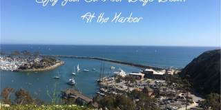 34132 Selva Gallery 24