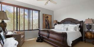 10397 E LOVING TREE Lane Gallery 21