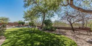 28484 N 92nd Place Gallery 46