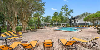 Lake Forest Gallery 18