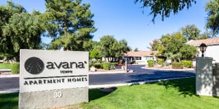 Avana Tempe Gallery 45