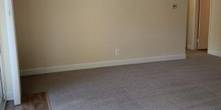 Northgate Gallery 49