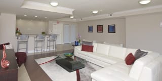 Fontainebleau Milton Gallery 29