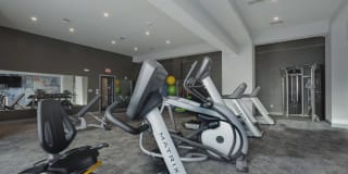 The Ivy at Berlin Place Gallery 37