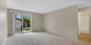 ReNew Dash Point Gallery 30