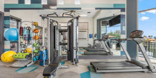 Luna at Fountain Hills by Mark-Taylor Gallery 3