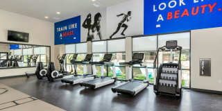 Velaire at Aspera Gallery 6