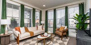 Livano Nations Gallery 5