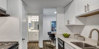 Alara North Burnet Gallery 9