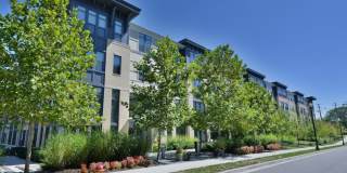 The Alcott Gallery 20