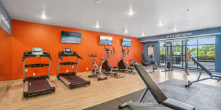 Cedar Green Gallery 14