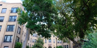 Belmont Buckingham Gallery 46