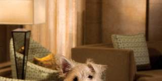 Metro 417 Gallery 36