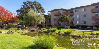 Modern 2-Bedroom Condo with Pool and Koi Pond Views Gallery 28