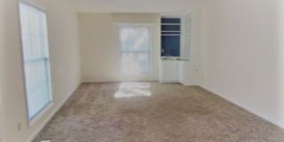 3 bedroom Gallery 6