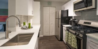 Alister Quincy Gallery 1