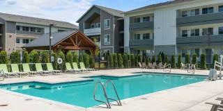 Meritum Evergreen Gallery 28