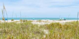 555 Harrison Avenue Gallery 44