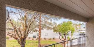 2840 Bluebonnet Drive Gallery 22