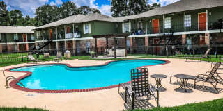 Spring Pine Gallery 17