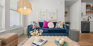 NOVEL Morrisville Gallery 8