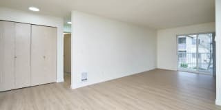 Ivorywood Gallery 43