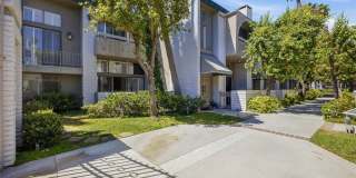 5305 White Oak Avenue Gallery 3