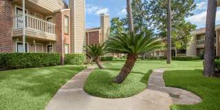 Pine Hills Gallery 23