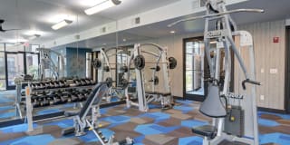 The Henderson Gallery 9