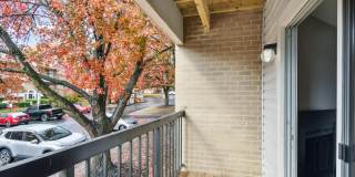 Poplar Glen Gallery 20