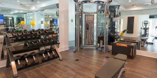 Alister Quincy Gallery 22