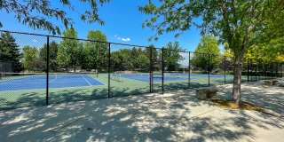 4200 West Lovegood Lane - 1 Gallery 8