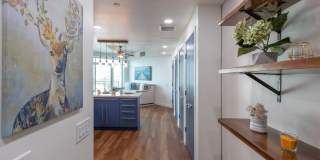 Beautiful 1 Bdrm, 1.5 Bath for Rent at Cortez Blu Condos in Cortez Hill Gallery 5