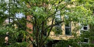 73 N 5th St Gallery 14