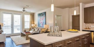 Olympus Grand Crossing Gallery 1