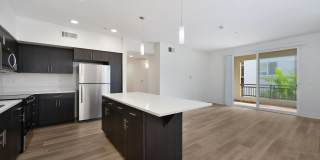 Palomar Station Gallery 10