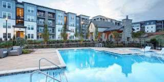 Avery at Turkey Creek Gallery 43