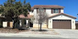 12336 Osprey Gallery 1