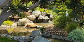 IRVINE 1 BED, 1 BATH CONDO- $2,575 ("THE SPRINGS" COMMUNITY) Gallery 23