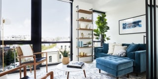 The Wren D.C. Gallery 3