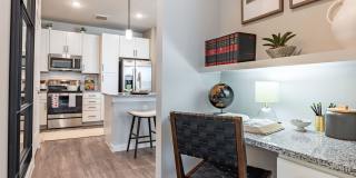 Ariza Scott BLVD Gallery 28