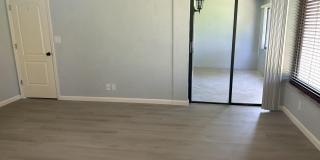 4075 Palm Forest Drive N Gallery 10